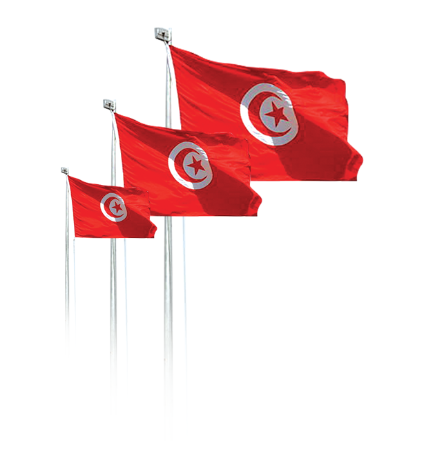Drapeau Tunisie - Proscom - Un emblème chargé d'histoire
