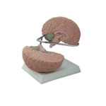 Produits SCIENTIFIQUES